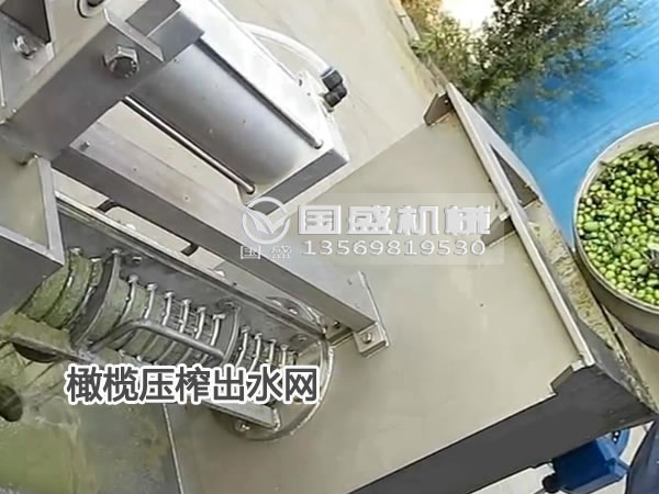香蕉视频APP污橄榄脱水机