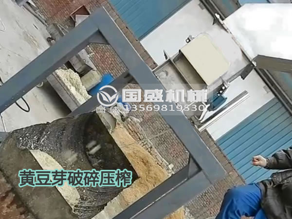 香蕉视频APP污黄豆芽固液分离机