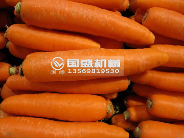香蕉视频APP污胡萝卜脱水挤压机 香蕉视频APP污胡萝卜脱水挤压机
