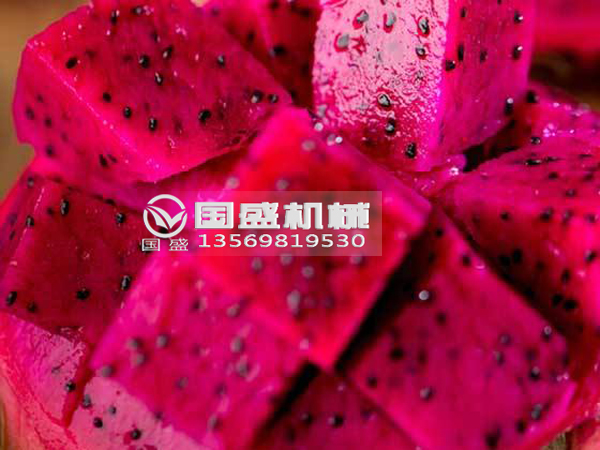香蕉视频APP污火龙果挤压脱水设备