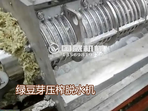 香蕉视频APP污绿豆芽压榨机