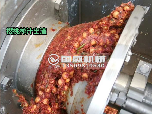 香蕉视频APP污樱桃螺旋压榨脱水机